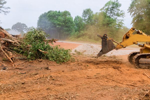 Ground Clearing in Kent