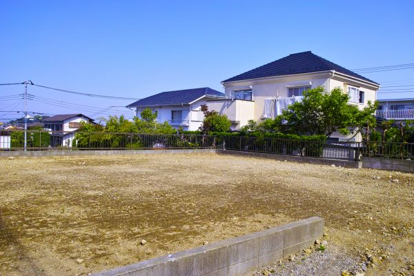 Cost of Lot Clearing Service in Kent