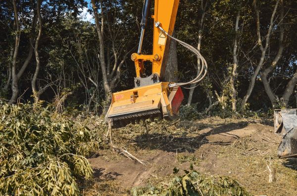 Brush Removal Service in Kent