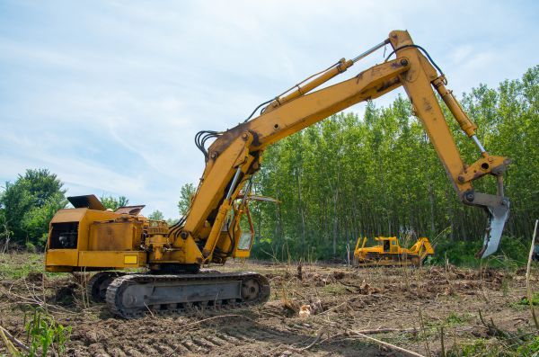 Farm Clearing in Kent