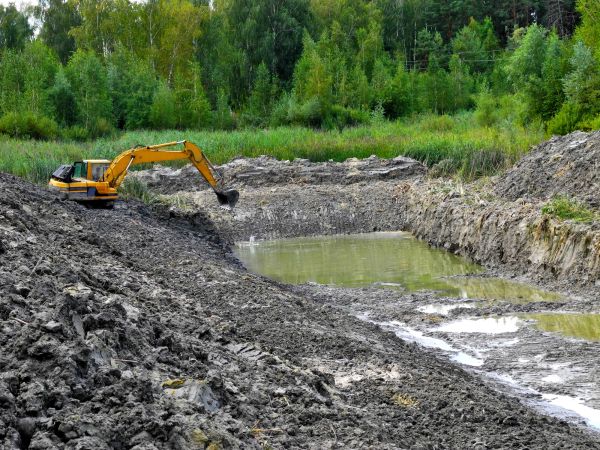 Lake Lot Clearing in Kent