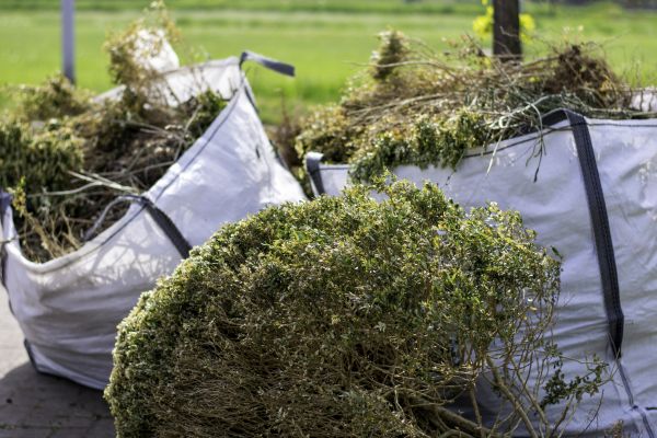 Cost of Bushes Clearing in Kent