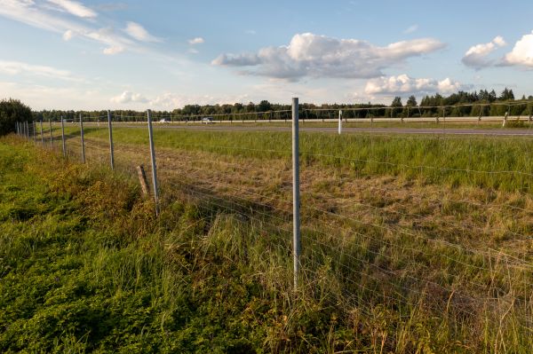 Property Line Clearing in Kent