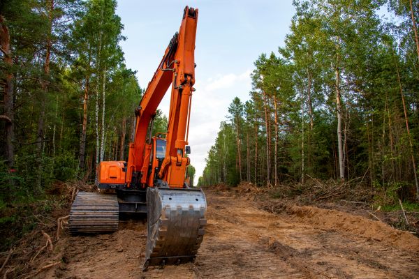 Backhoe Land Clearing in Kent