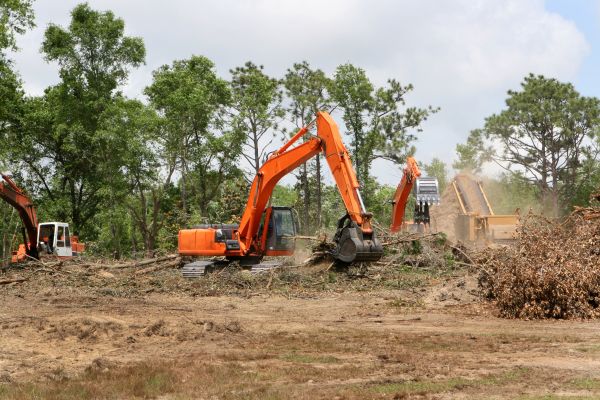 Commercial Lot Clearing in Kent