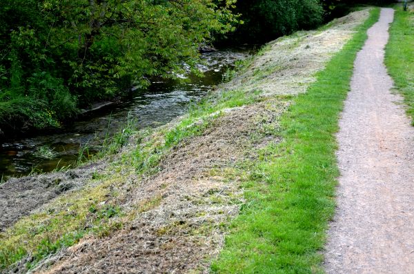 Trail Cutting in Kent