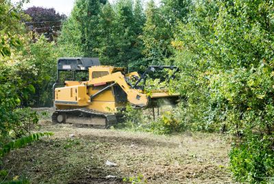 Commercial Land Clearing detail